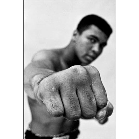 Pre-Owned Ali: A Life