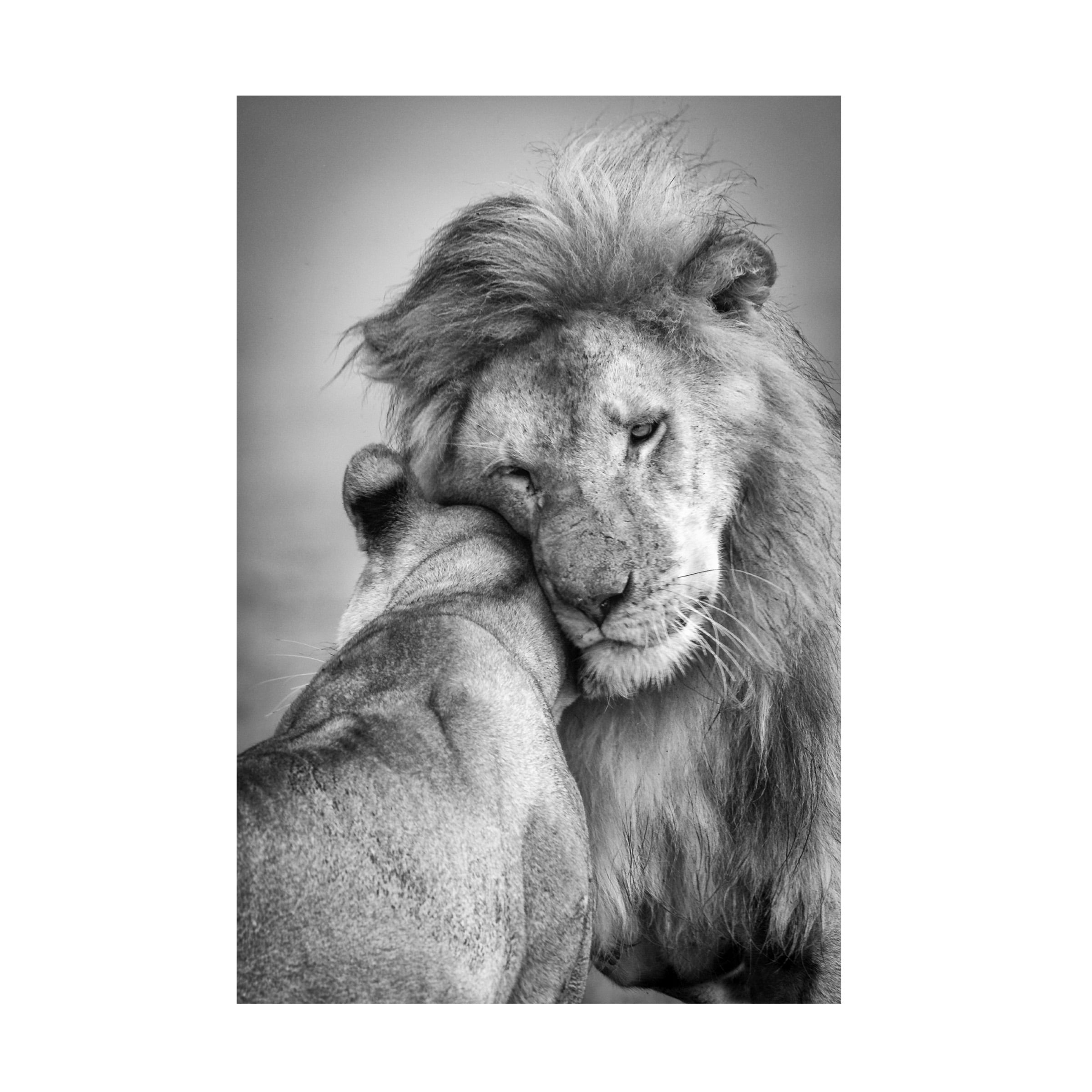 Ali Khataw 'African Love' Canvas Art