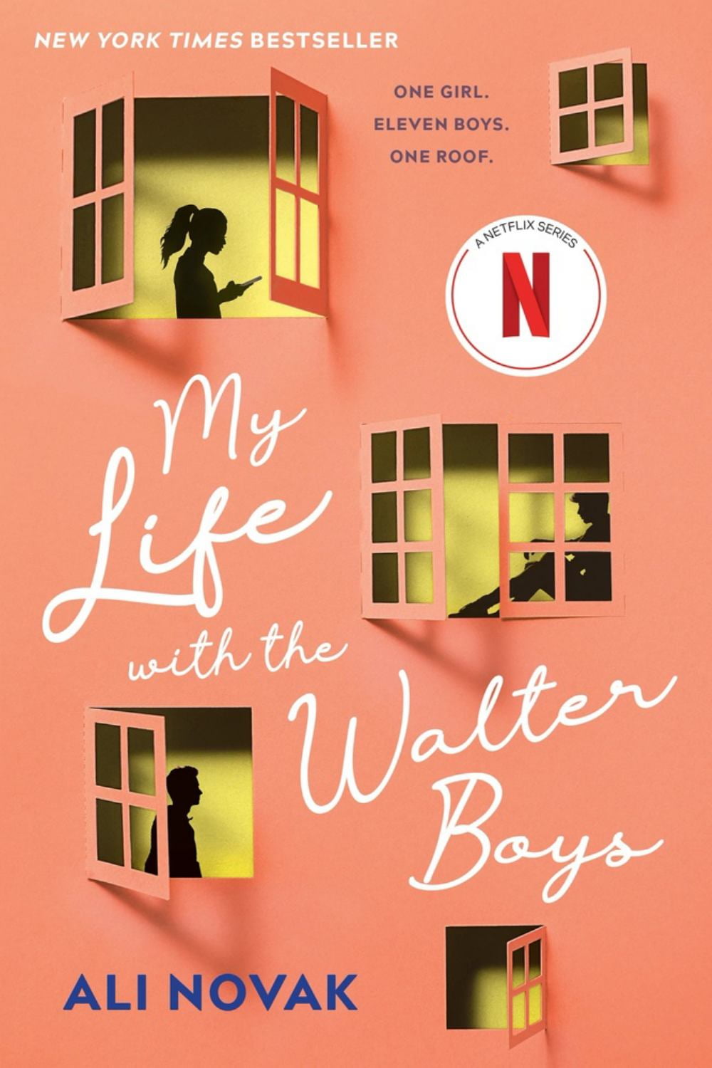ALI NOVAK My Life with the Walter Boys (Paperback)