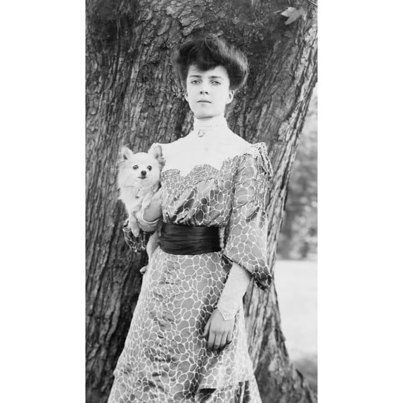 Alice Roosevelt (1884-1980) History (18 x 24)
