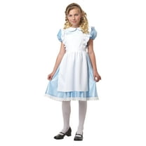 Alice in Wonderland Child Costume
