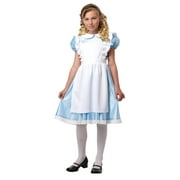 Alice in Wonderland Child Costume