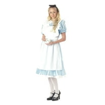 Classic Alice in Wonderland Adult Costume