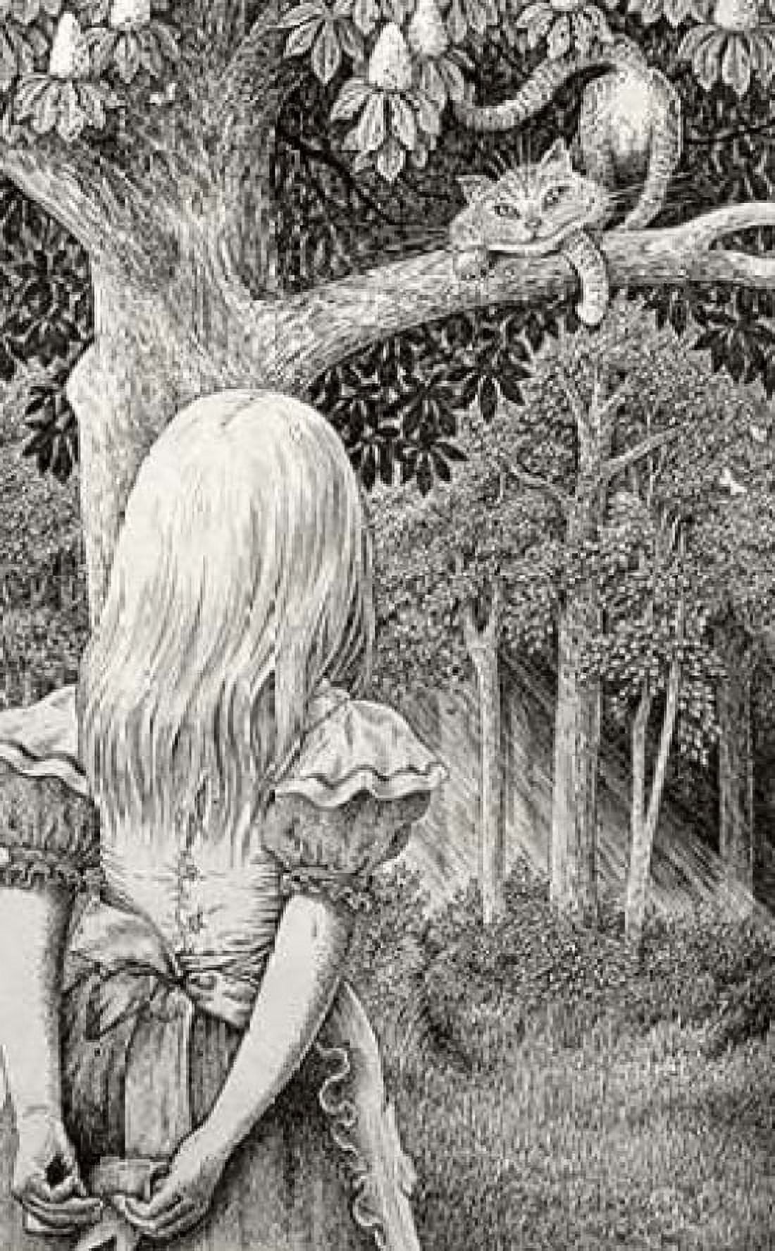 Alice with Cheshire Cat Canvas Art - Brian Partridge (24 x 36)