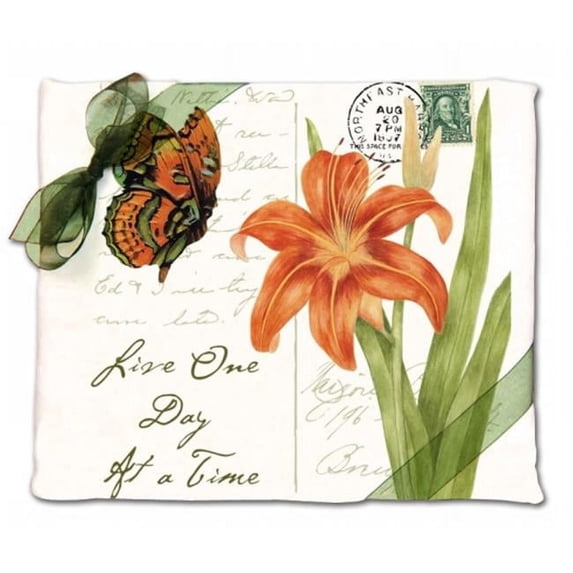 Alices Cottage AC34436 Orange Butterfly Flour Sack Towel-set of 2