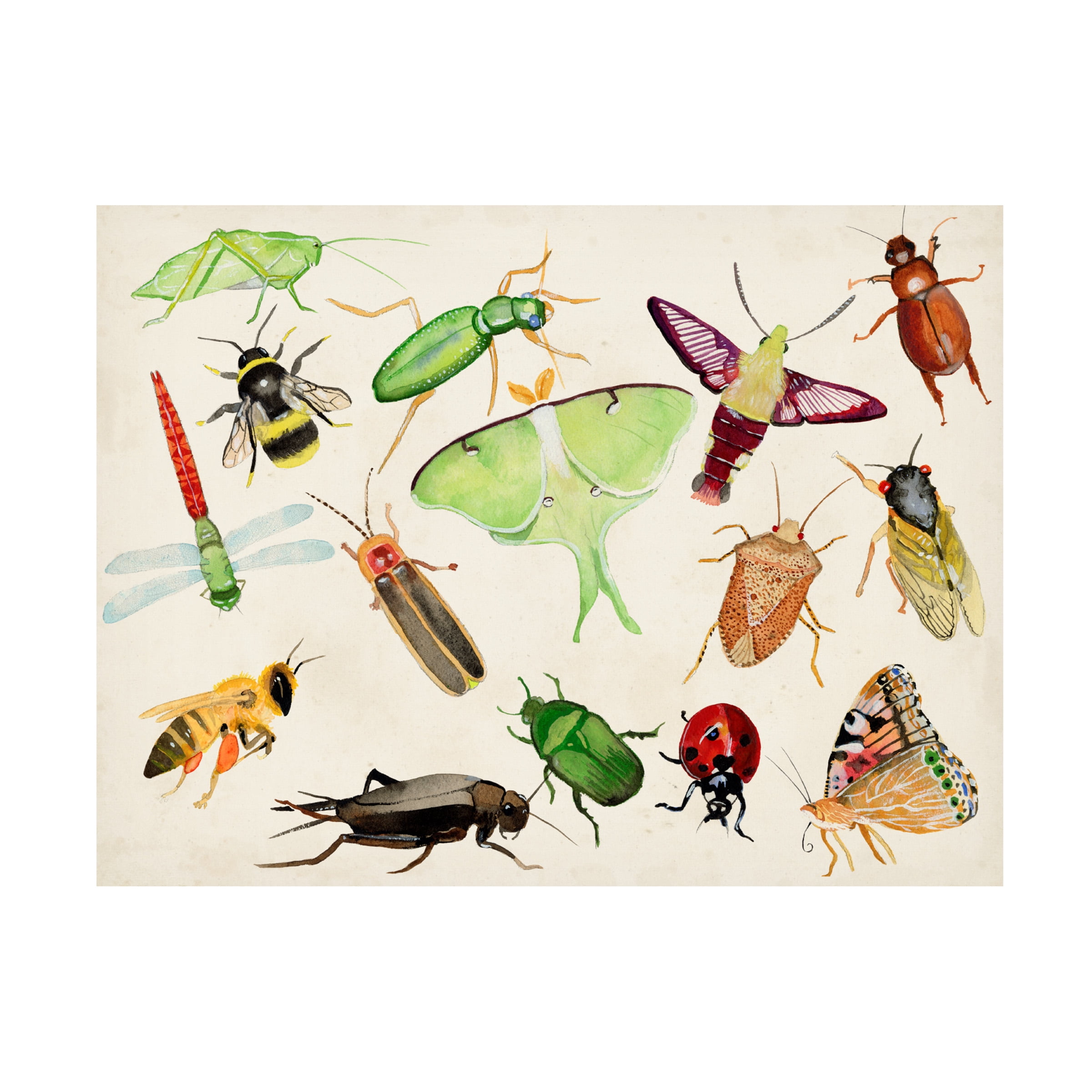 Alicia Ludwig 'Bugdom II' Canvas Art