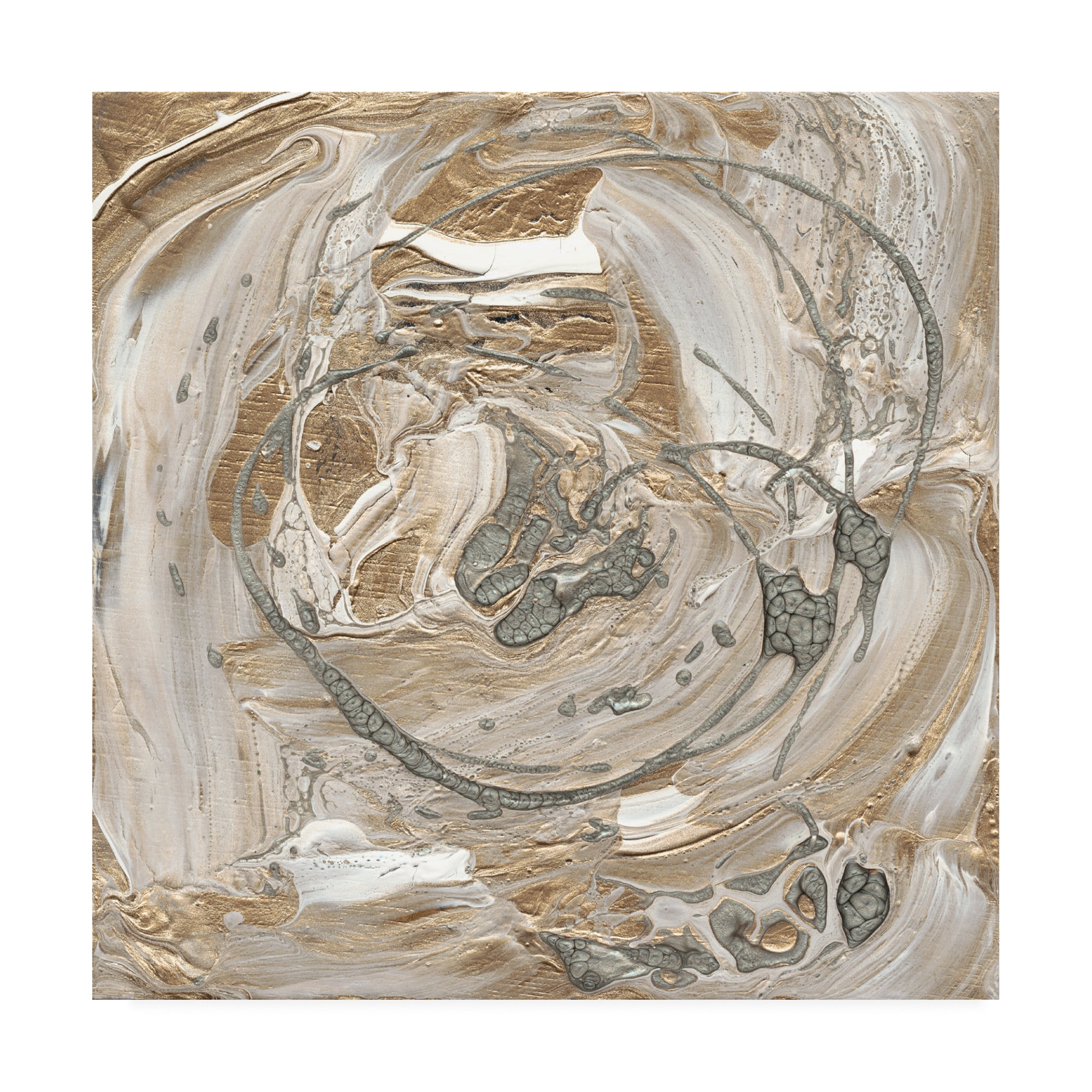 Alicia Ludwig 'Silver And Gold I' Canvas Art