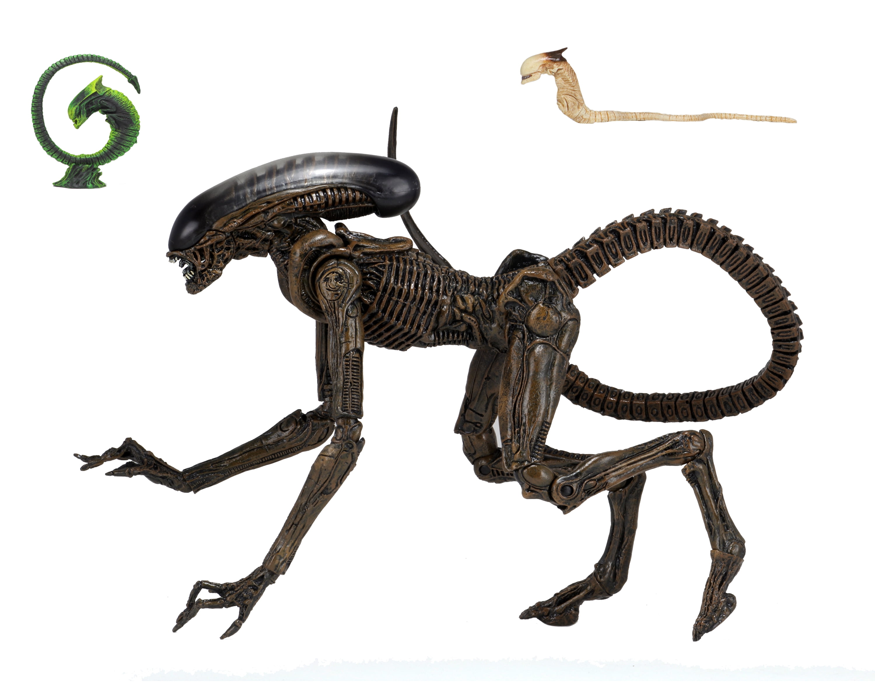 Alien 3 – Ultimate Dog Alien – 7” Scale Action Figure - Walmart.com