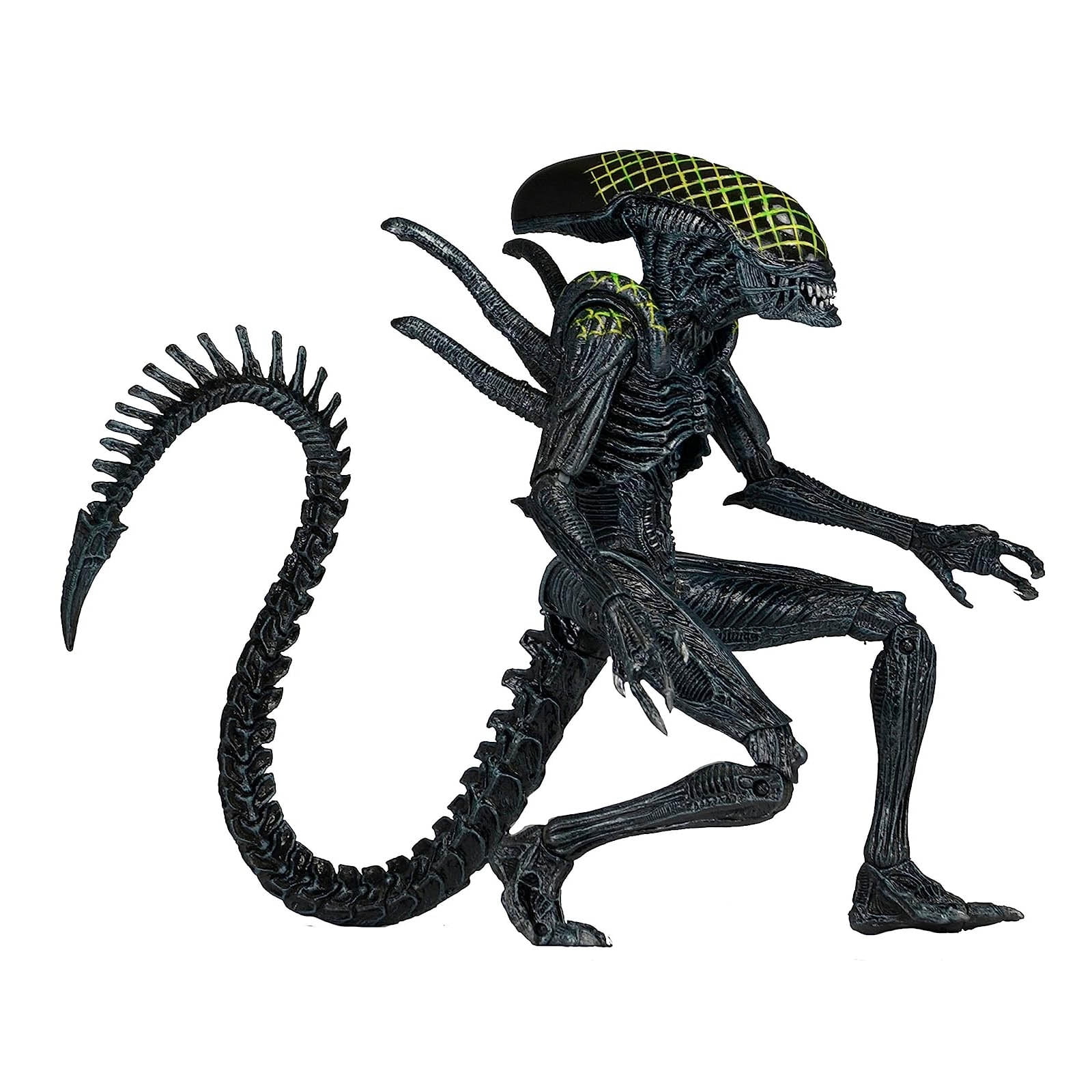 Alien Action Figure Grid Alien Xenomorph Aliens vs Predator 7Inch