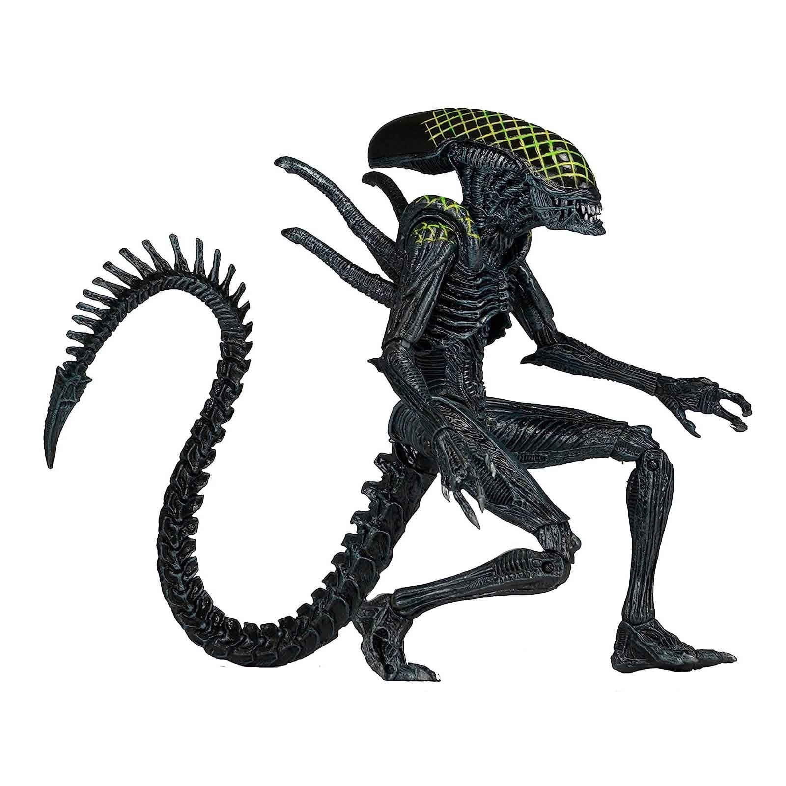 Alien Action Figure Xenomorph Aliens vs Predator Warrior Alien 7Inch