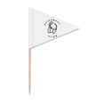 thumbnail image 1 of Alien Biological Astronaut Conversion Toothpick Triangle Cupcake Toppers Flag, 1 of 3