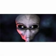 thumbnail image 1 of Alien Photo License Plate, 1 of 1