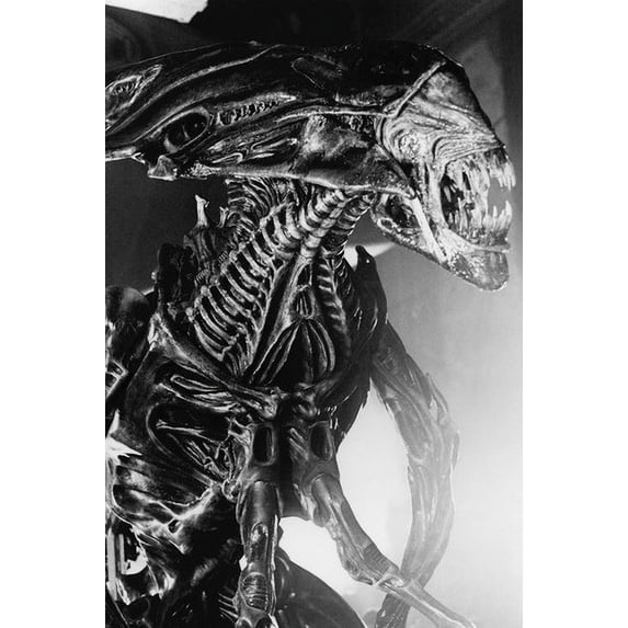 Alien close-up of the alien creature 24x36 Poster