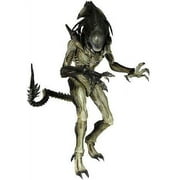 Hot Toys Aliens VS Predator Requiem Predalien Collectible Figure