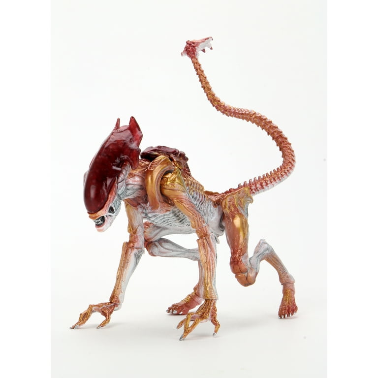 neca バトルエイリアン　アルティメット エディション neca バトルエイリアン アルティメット エディション Amazon.co