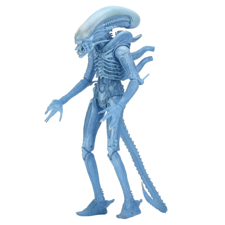 Aliens ? 7? Scale Action Figure ? Warrior Alien (Blue) - Walmart.com