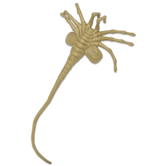 Alien - Facehugger Foam - Life-Size Prop Replica