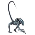 thumbnail image 1 of Aliens vs Predator (Arcade) - 7" Scale Action Figure - Arachnoid - NECA, 1 of 7