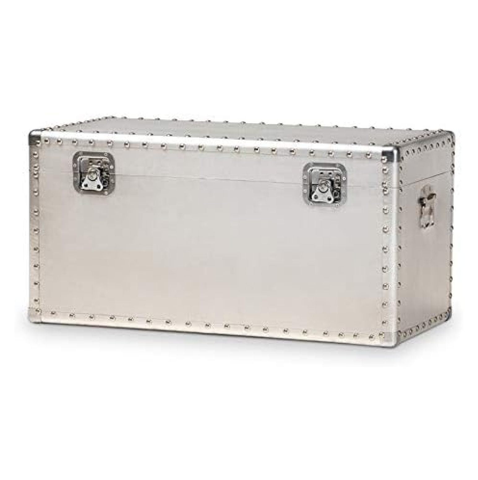Alieon -Century Metal and Wood Storage Trunk in Silver