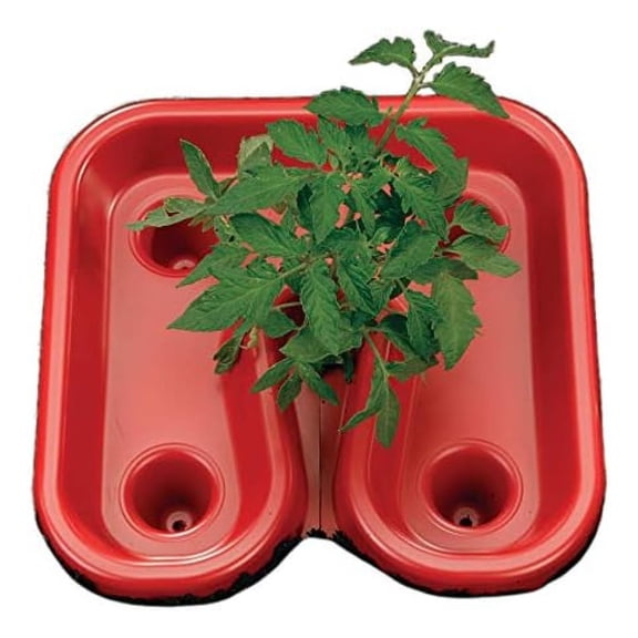 Alieon Red Tomato Automator Tray, All-Purpose Feeder, Waterer, Weeder, Includes 3 Trays