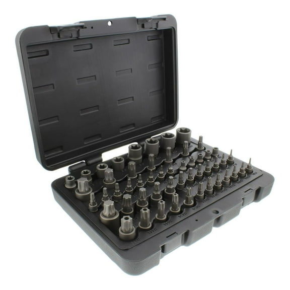 Alieon Star Torx Bit Socket 52-Piece Set SAE 1/4, 3/8, 1/2in 4-Point Square Drive T6T70, E4E24, TP8TP60, TT8TT60