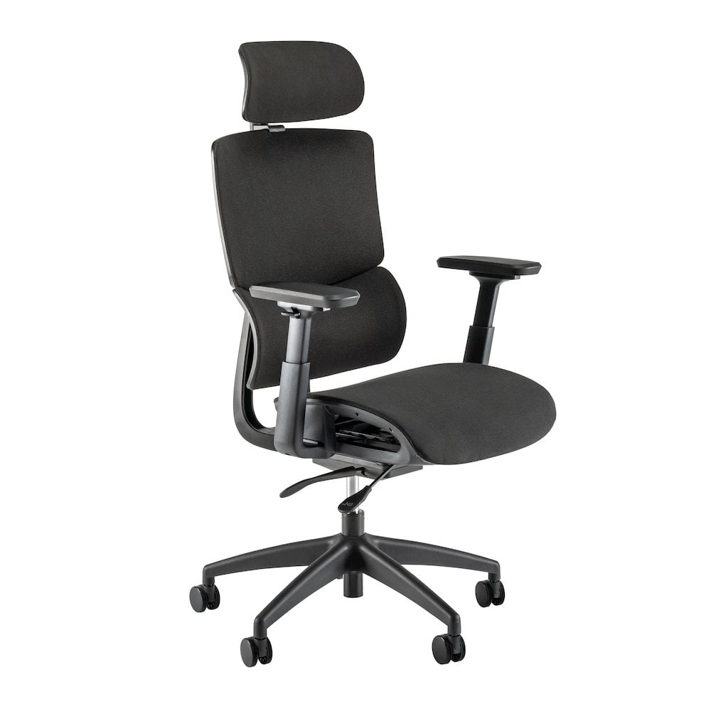 Black High Back Ergonomic Mesh Office Chair with Adjustable Arms