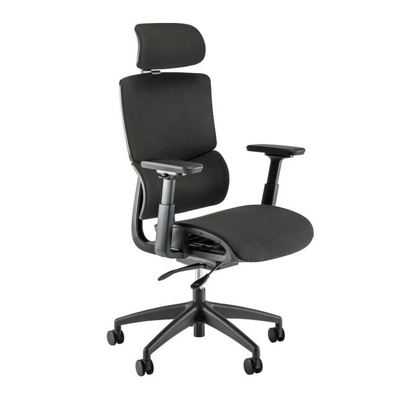 Align High Back Ergonomic Office Chair with Lumbar Support in Black Fabric