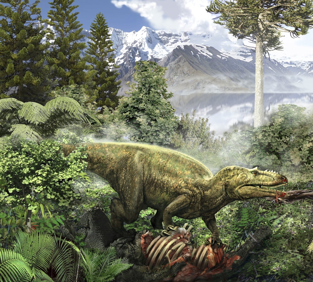 Alioramus feediing on the carcass of a dead animal Canvas Art - Jan SovakStocktrek Images (15 x 14)