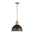 thumbnail image 1 of Golden Lighting Alison 1-light Pendant in Vintage Gold and Weathered Black Iron shade, 1 of 7