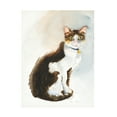 thumbnail image 1 of Alison Cooper 'Dave the Saudi Cat, 2019' Canvas Art - 18 x 24 Inches, 1 of 4