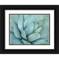 thumbnail image 1 of Alison Jerry 32x25 Black Ornate Wood Framed with Double Matting Museum Art Print Titled - Agave Detail IV, 1 of 4