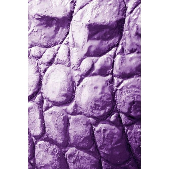 Alive! crocodile skin - Violet duotone - Photo Art Notebooks (6 x 9 series): by Photographer Eva-Lotta Jansson (Paperback)