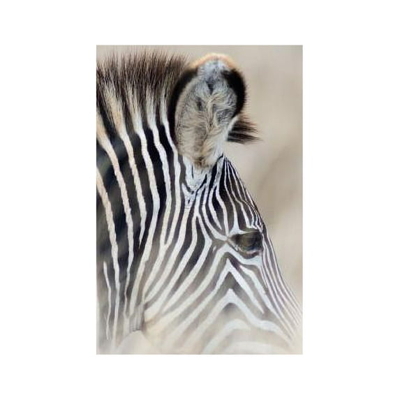 Alive! zebra stripes - Natural - Photo Art Notebooks (6 x 9 series): by Photographer Eva-Lotta Jansson (Paperback)