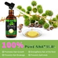 thumbnail image 1 of Jamaican Black Castor Oil Massage Oil Jamaican Black Castor Oil Hair Care Essential Oil, 1 of 10