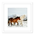 thumbnail image 1 of Aljabakphoto Horses Sar Mountains Kosovo Photo 8X8 Inch Square Wooden Framed Wall Art Print Picture with Mount, 1 of 4