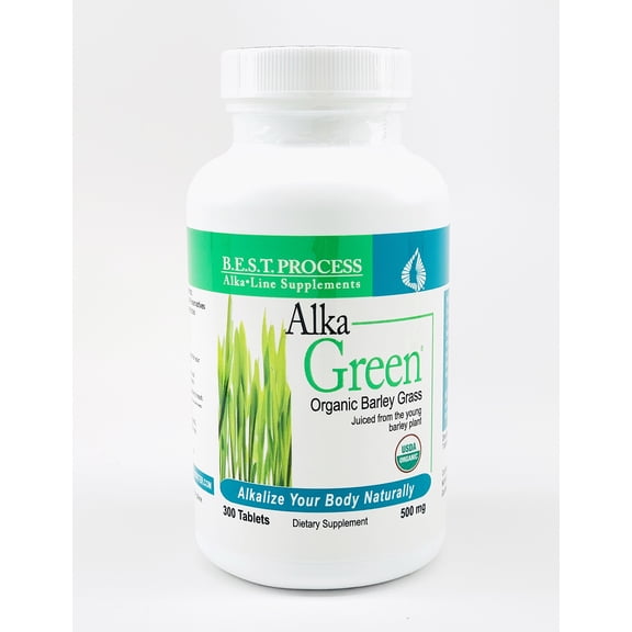 AlkaGreen Tablets  Morter HealthSystem Best Process Alkaline  Nutrient Dense Organic Barley Grass Supplement  Natural Source of Enzymes & Amino Acids  Boosts Immunity, Energy & Digestion