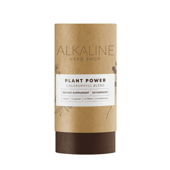 Alkaline Herb Shop: Plant Power Supplement (Chlorophyll) 120 Capsules