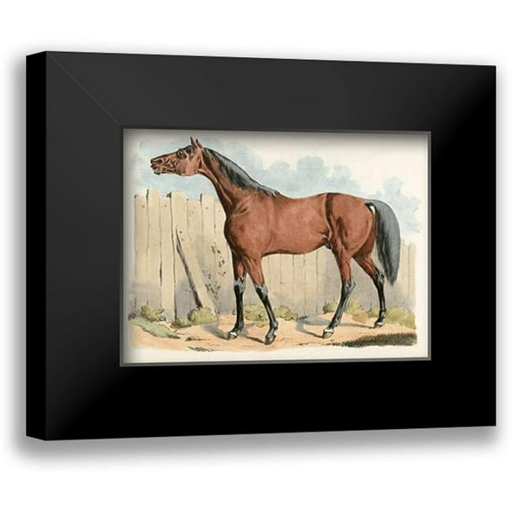 Alken, Henry Thomas 24x19 Black Modern Framed Museum Art Print Titled - Dark-Brown Horse, 1817