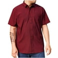 thumbnail image 1 of Alkepwun Mens Short Sleeve Button Down Shirts Wrinkle Free Dress Business Casual Shirt with Pocket Comfortable Breathable Lightweight Collar Tops, 1 of 3