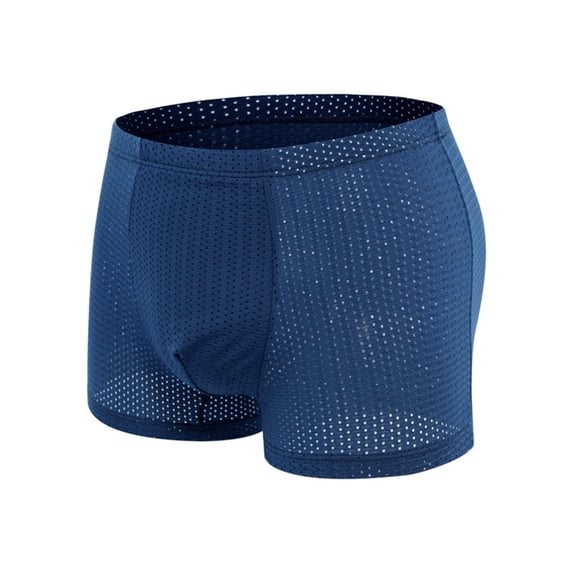 Alkepwun Mens Summer Underwear Mesh Quick Dry Polyamide Boxer Briefs Active Sports Soft Breathable Underwear Casual Solid Color Sexy Breathable Middle Waist Underwear Pants