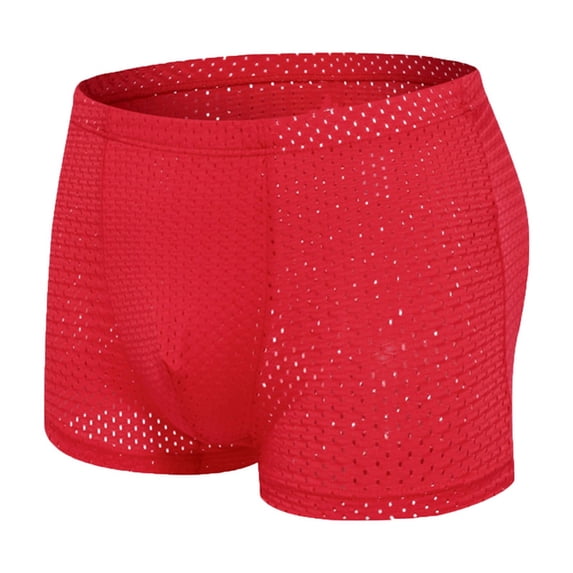 Alkepwun Mens Summer Underwear Mesh Quick Dry Polyamide Boxer Briefs Active Sports Soft Breathable Underwear Casual Solid Color Sexy Breathable Middle Waist Underwear Pants