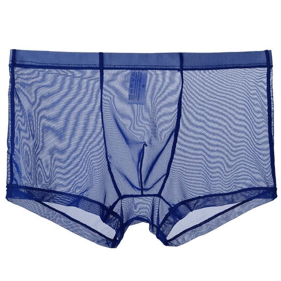 Alkepwun Mens Underwear Ice Silk Sexy Mesh Ultra-thin Breathable Boxer Briefs Shorts Underwear Soft Sheer Bulge Pouch Boxer Shorts Valentines Boxers Pack Set Solid Color Moisture Wicking Underpants