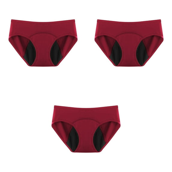 Alkepwun Women's Period Underwear Plus Size Cotton Underwear Heavy Flow Leakproof Panties Incontinence Postpartum Menstrual Protective Briefs 3 Pack XS-5XL on Clearance