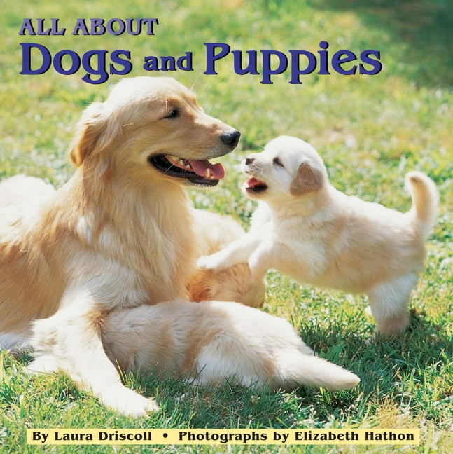 All Aboard 8x8s All about Dogs and Puppies, (Paperback)