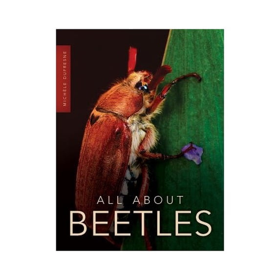 Pre-Owned All About Beetles Paperback