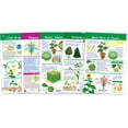 thumbnail image 1 of All About Plants Bulletin Board Chart Set – Set of 5, 1 of 9