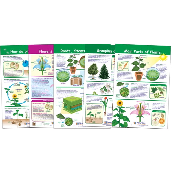All About Plants Bulletin Board Chart Set – Set of 5