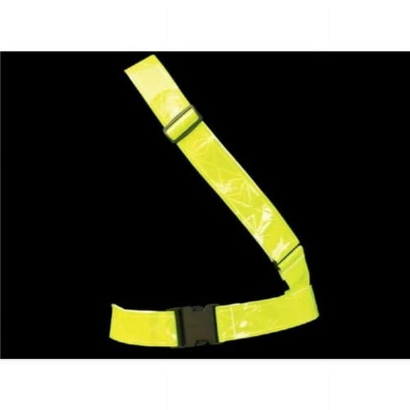 All Around Reflective Belt and Sash