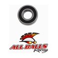 thumbnail image 1 of All Balls Double Lip Seal  22 x 50 x 14  62/22-2RS, 1 of 1
