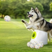 All For Paws Automatic Tennis Ball Launcher for Medium & Large Dogs, 6 ETPU Balls Included, Maxi